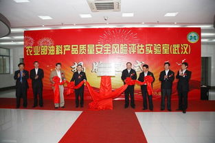 中國農業科學院油料作物研究所如何高效選擇武漢稅務代理服務